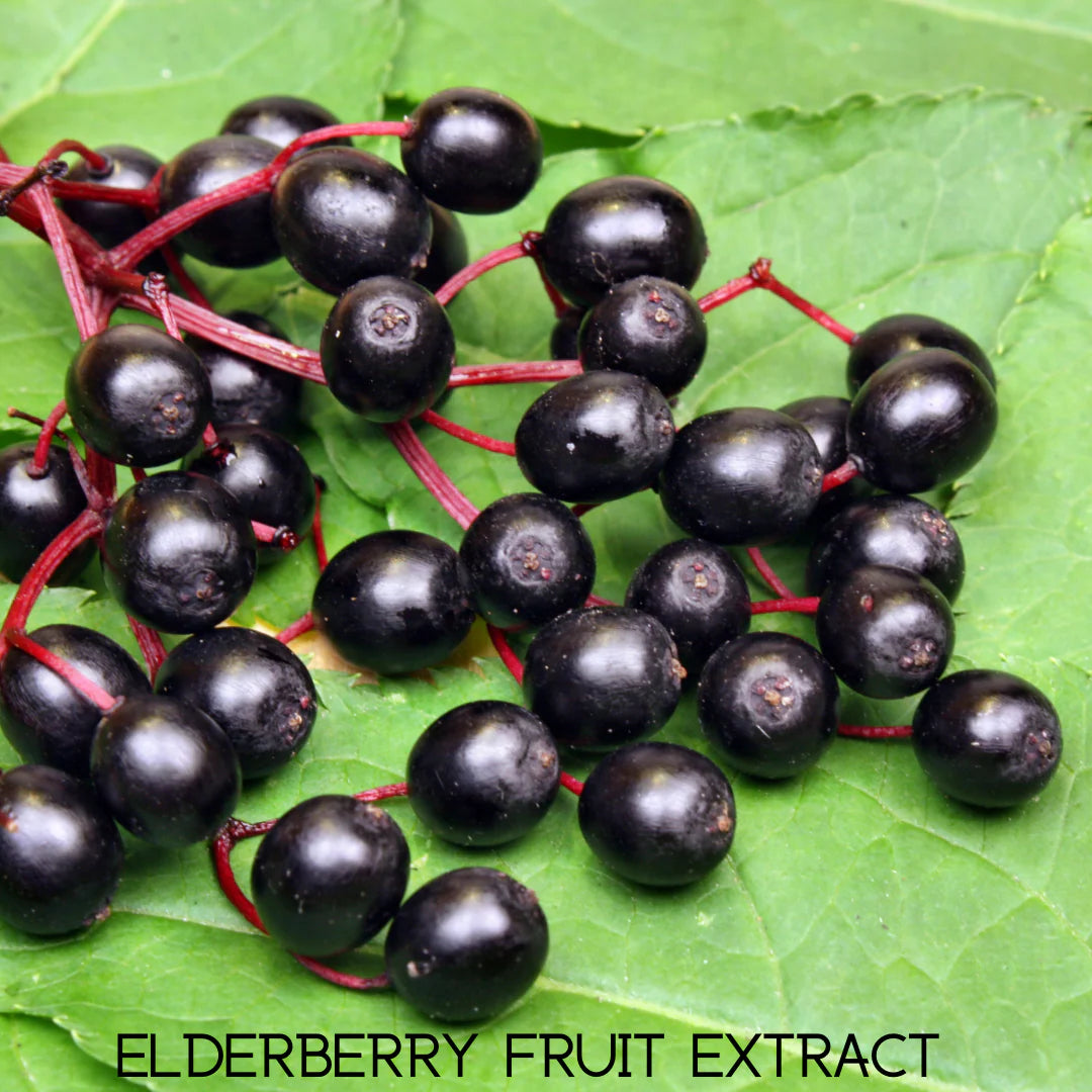 My Balance - Emergency Immune Support