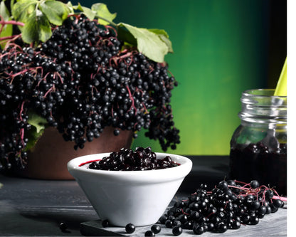 My Balance - Elderberry - Natures' Gift